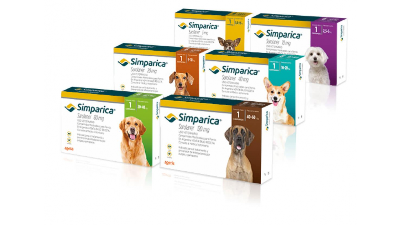 Bienvenidos, Animalandia - Alimento balanceado, Medicamentos y Accesorios  para perros y gatos